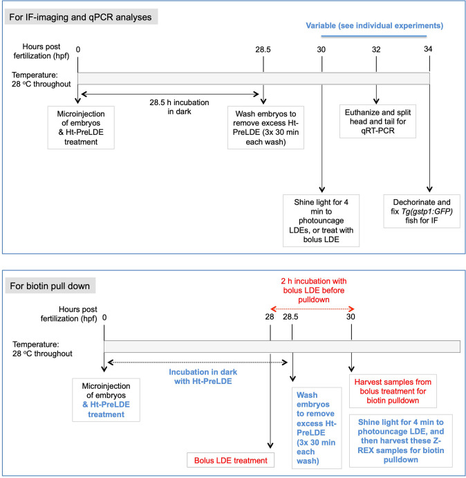 Appendix 1—scheme 1.