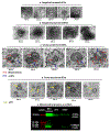 Fig. 2: