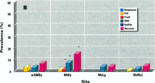 Figure 2. B