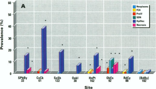 Figure 4. A