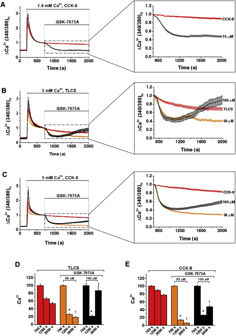 Supplementary Figure 1