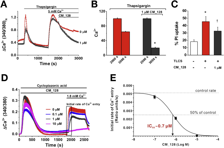 Figure 3