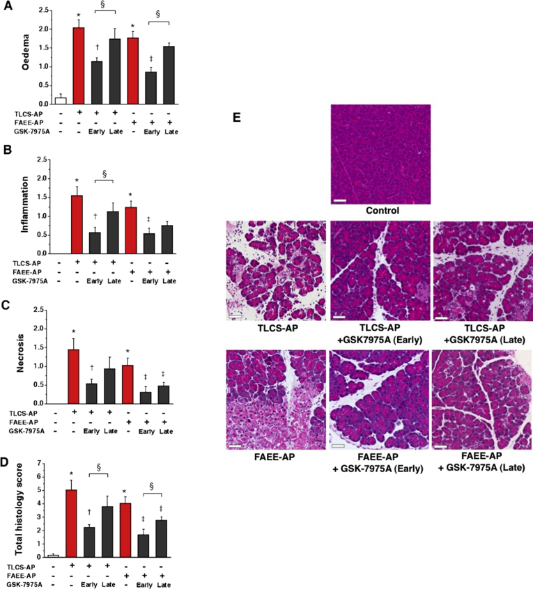 Supplementary Figure 6