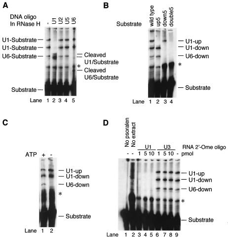 FIG. 7.