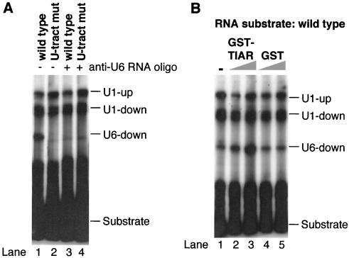 FIG. 8.