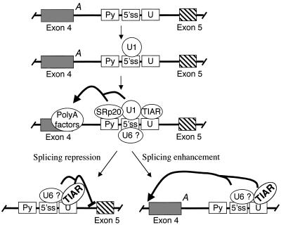 FIG. 10.