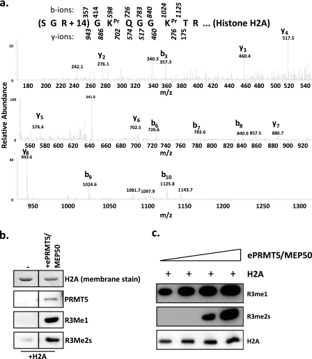 FIGURE 2.