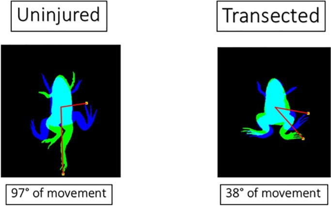 Fig. 4.