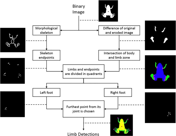 Fig. 7.