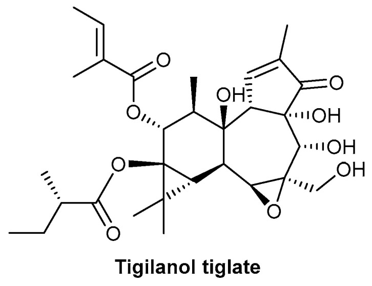 Figure 13