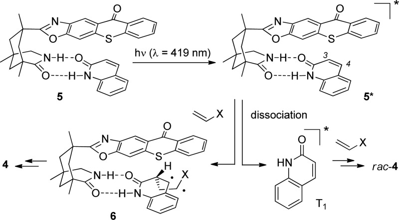 Scheme 3