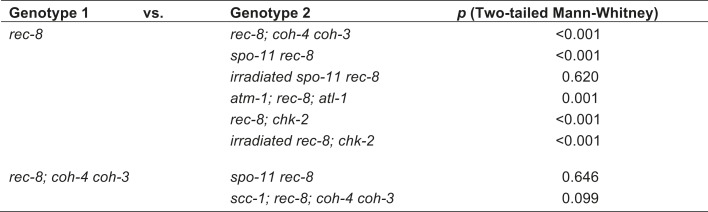 Figure 3—figure supplement 2.