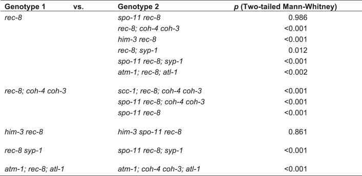 Figure 5—figure supplement 3.