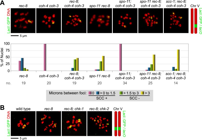 Figure 3—figure supplement 3.