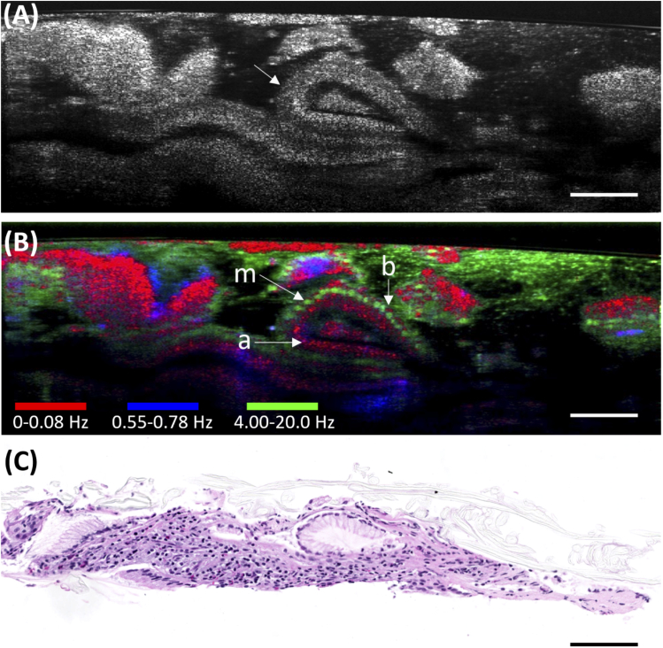 Fig. 4.