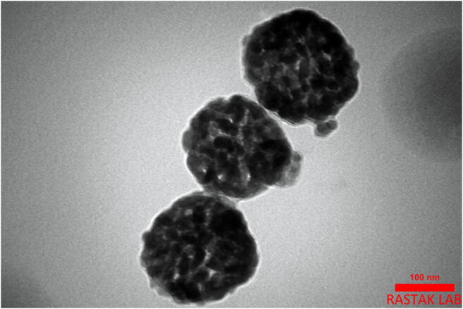 Fig. 4