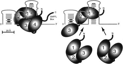 FIGURE 8.