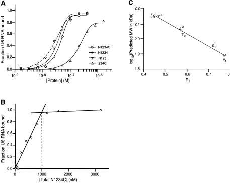 FIGURE 3.