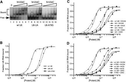 FIGURE 5.