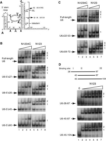 FIGURE 4.