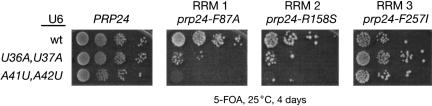 FIGURE 7.