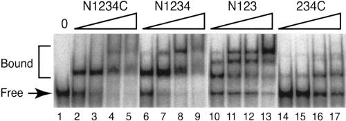 FIGURE 2.