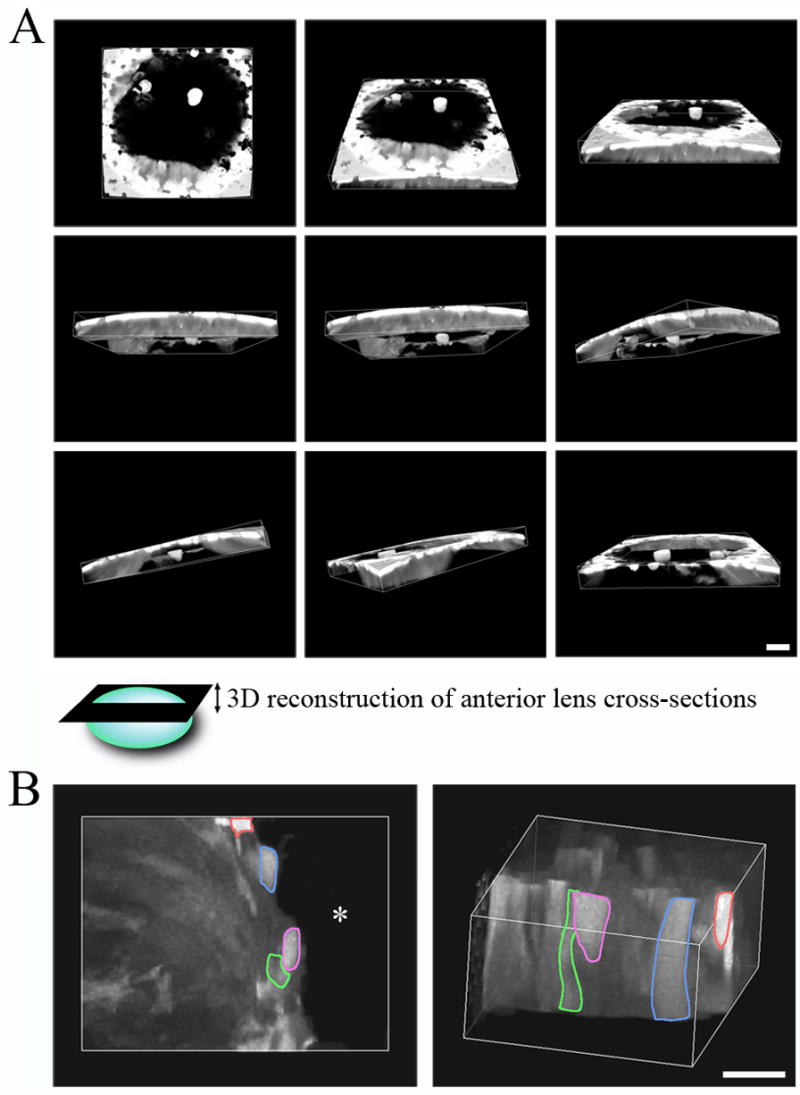 Fig. 4