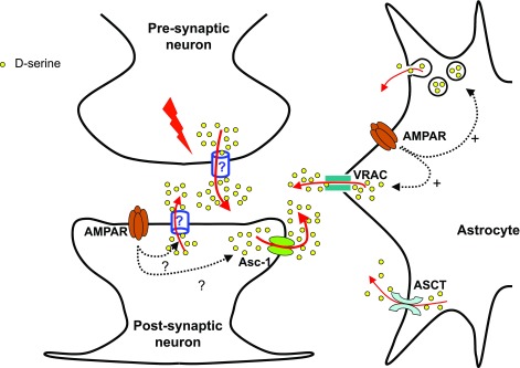 Figure 11