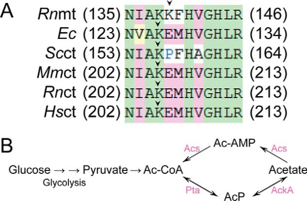 Figure 10.