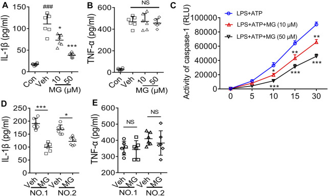 FIGURE 6