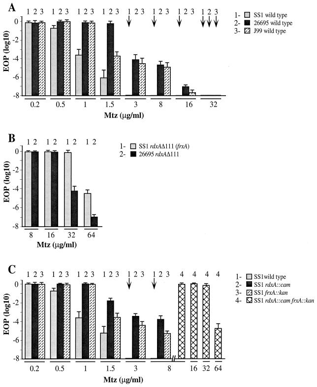 FIG. 1