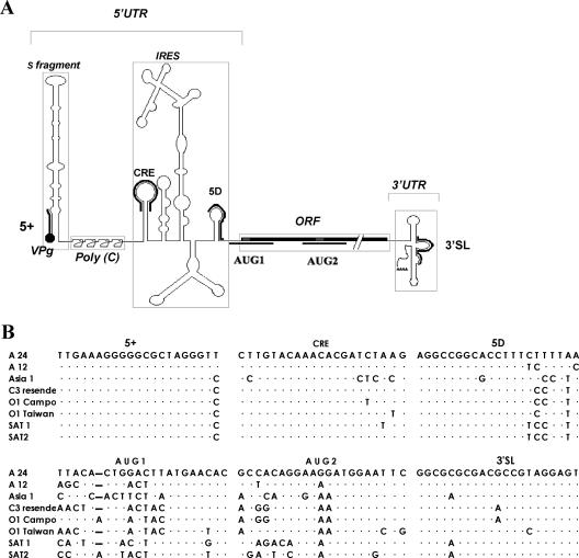 FIG. 1.