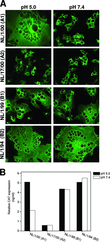 FIG. 2.