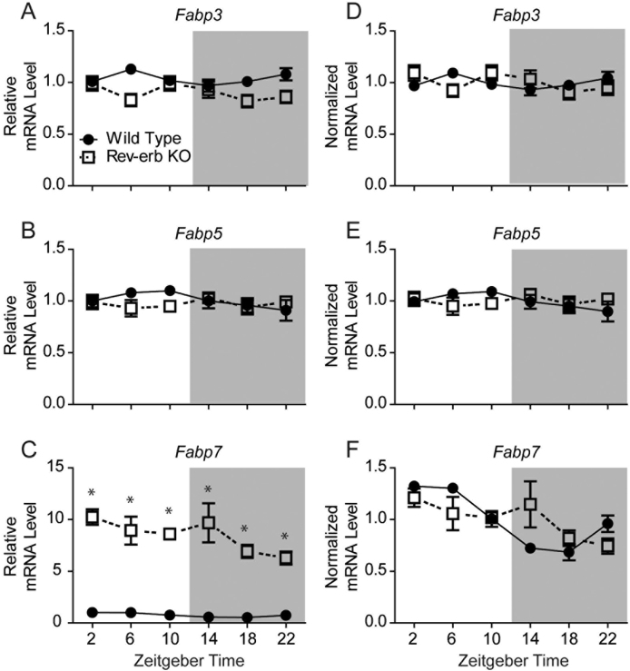 Fig. 4