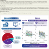 Structured Graphical Abstract
