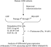 <b>Figure 1.</b>