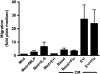 <b>Figure 4.</b>