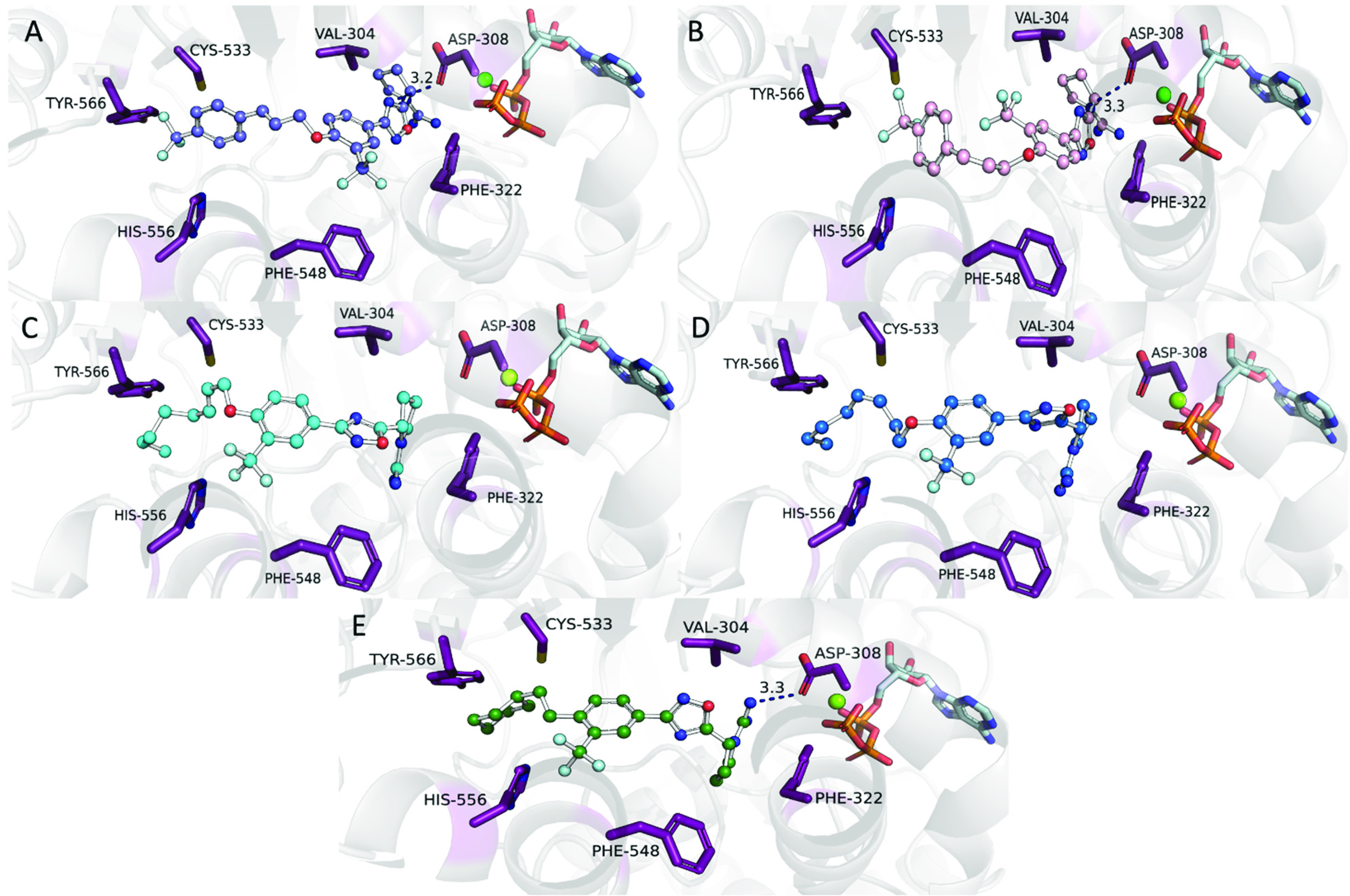 Figure 4