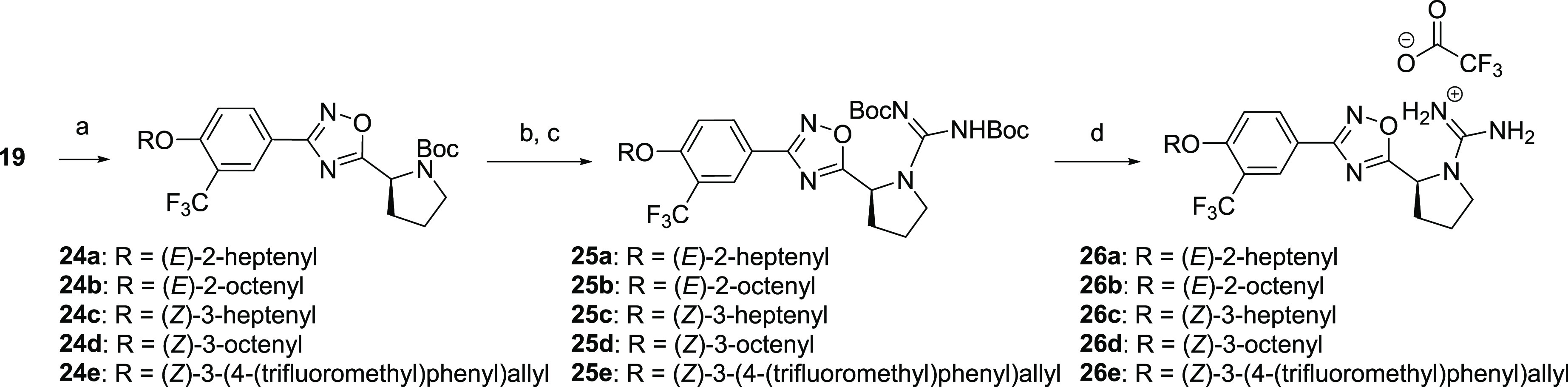 Scheme 3