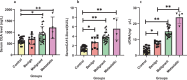 FIGURE 3 -