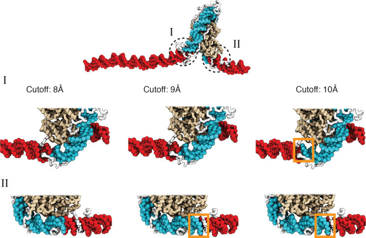 Appendix 1—figure 1.