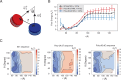 Figure 5—figure supplement 1.