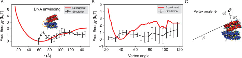 Figure 4—figure supplement 2.