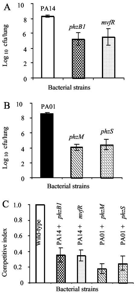 FIG. 2.