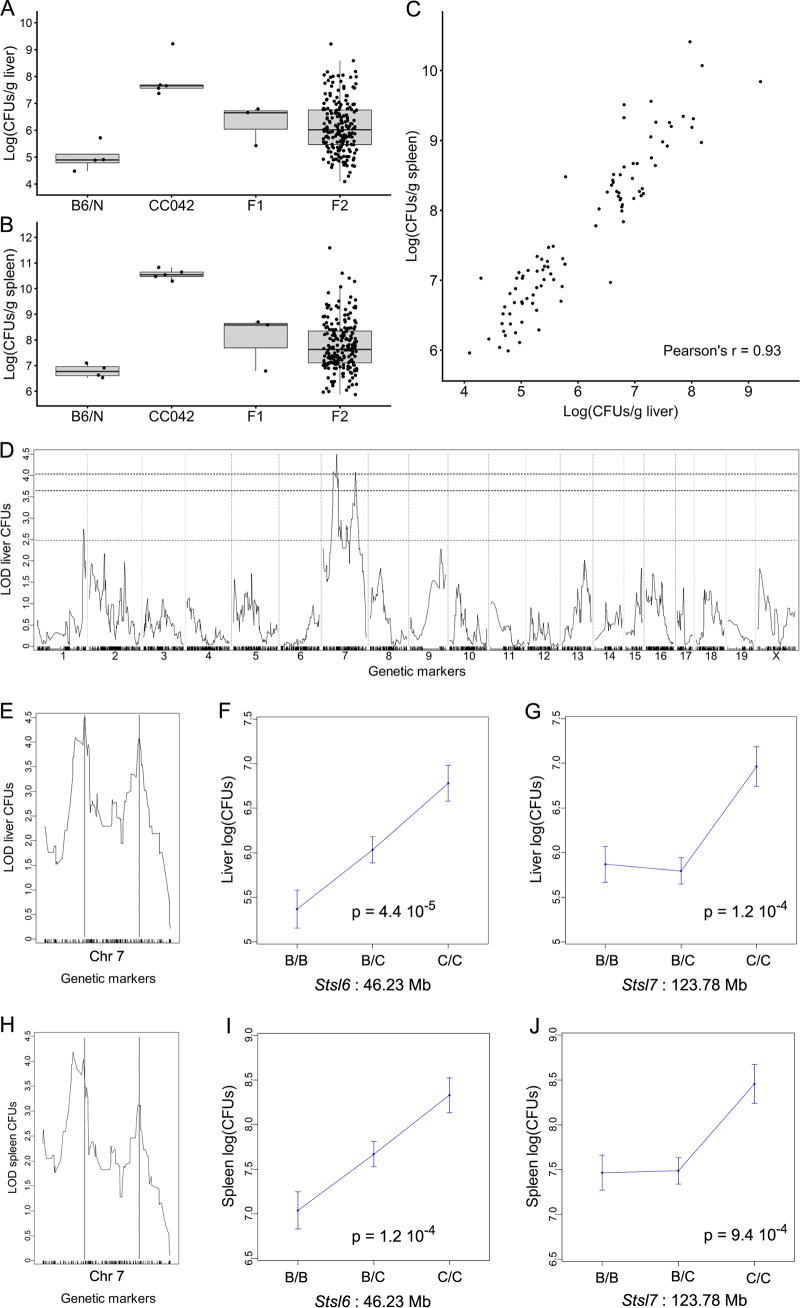 FIG 6