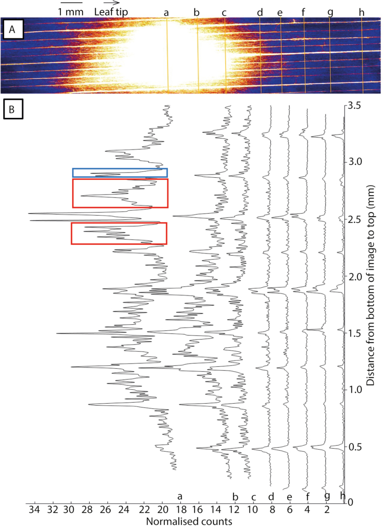 Fig. 3.