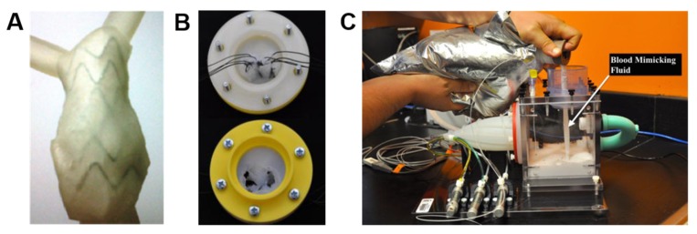 Figure 10