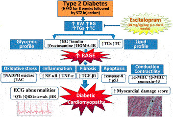 GRAPHICAL ABSTRACT