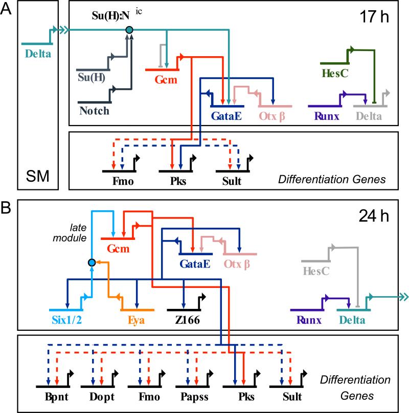 Figure 7