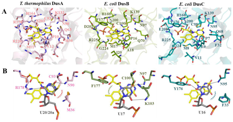 Figure 4.